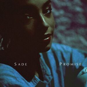 imagen del disco Promise